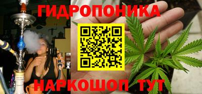 шишки Волжский