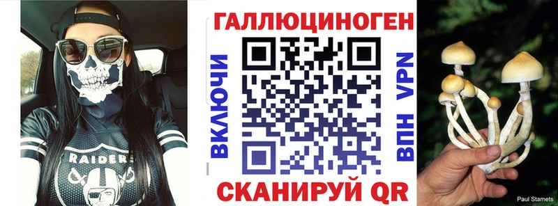 Галлюциногенные грибы MAGIC MUSHROOMS  купить закладку  Дубна 
