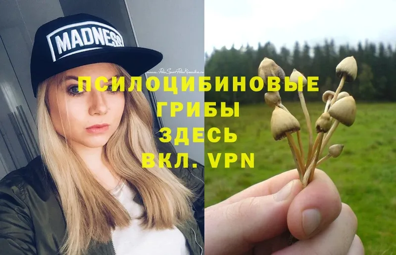 цена наркотик  MEGA как зайти  Галлюциногенные грибы Psilocybe  Дубна 